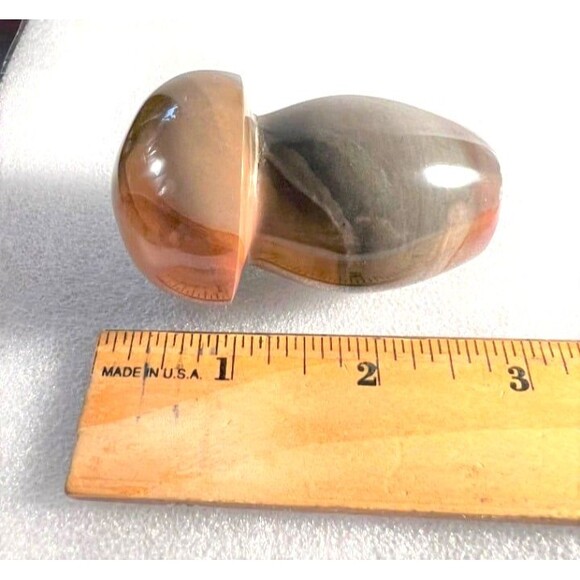 Very Pretty Polychrome Mushroom - Picture 6 of 7